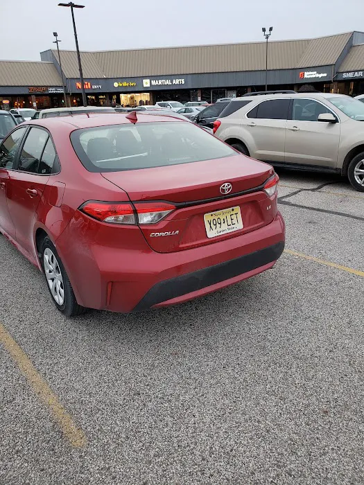 Avis Car Rental Picture 3