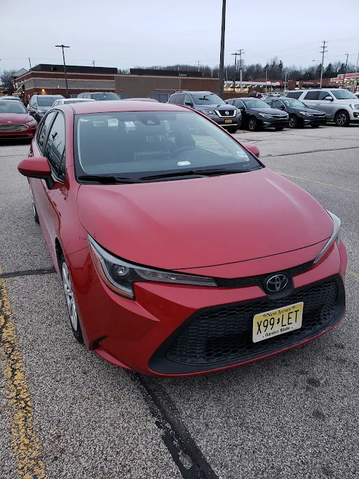 Avis Car Rental Picture 4