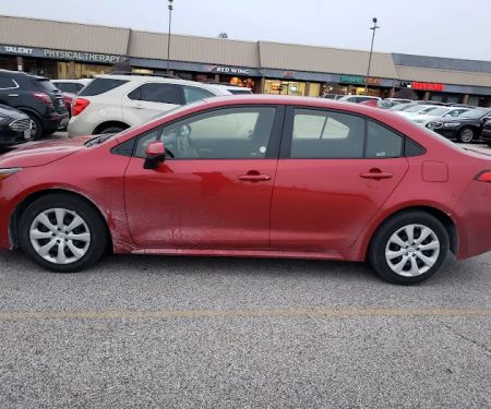 Avis Car Rental