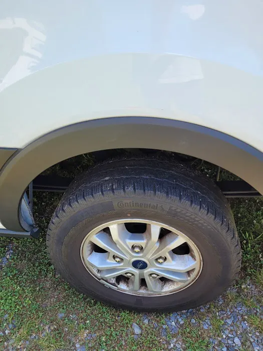 Budget Car Rental Picture 10