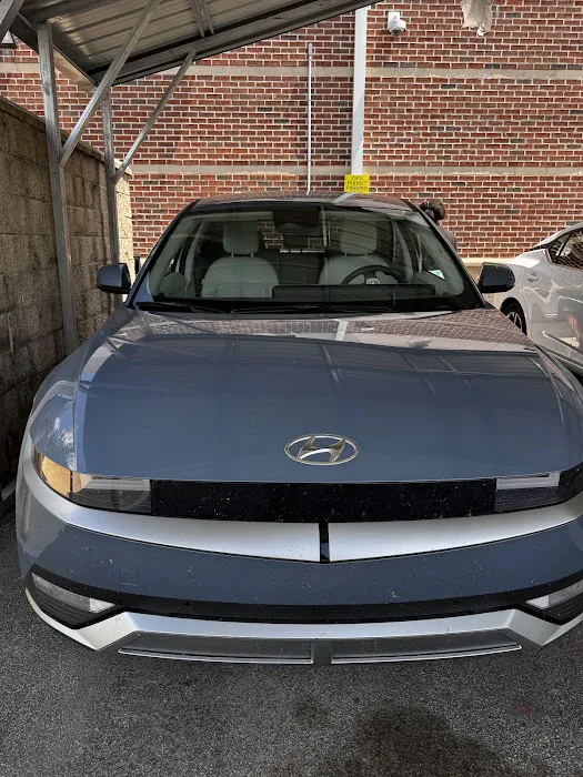 Avis Car Rental Picture 5