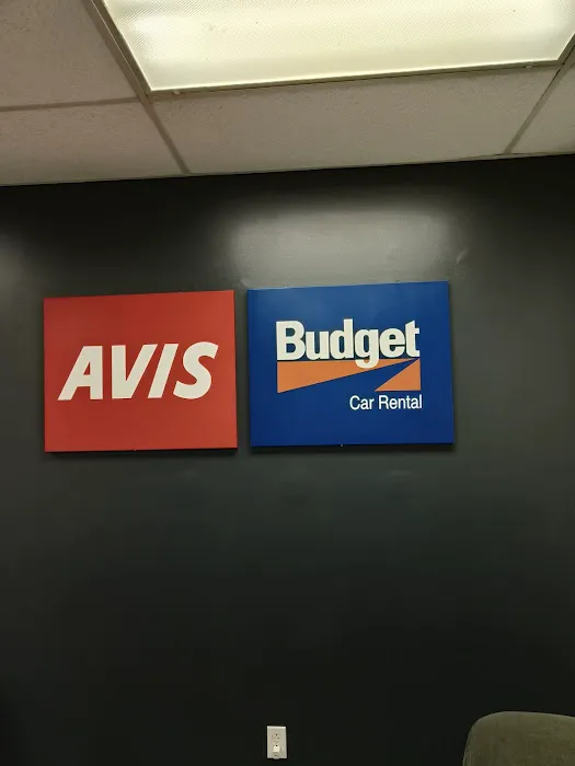 Avis Car Rental Picture 3