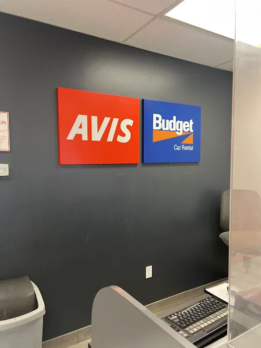 Avis Car Rental Picture 6