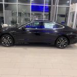 Platinum Slingshots & Rental Cars