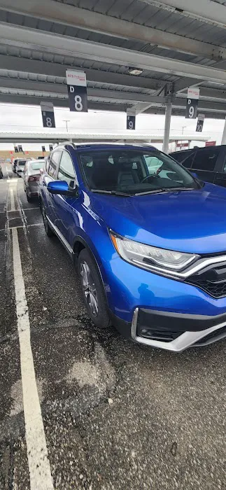 Avis Car Rental Picture 3