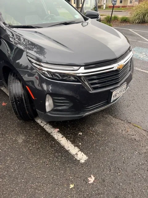 Budget Car Rental Picture 2