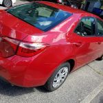 Avis Car Rental