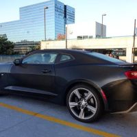Avis Car Rental ico