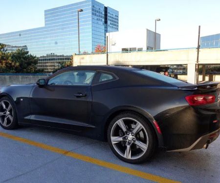 Avis Car Rental