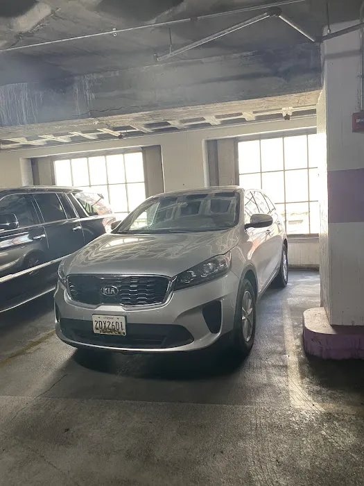 Dollar Car Rental - Boston - Park Plaza Ma Dle Picture 4