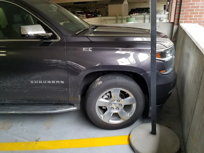 Budget Car Rental Picture 9