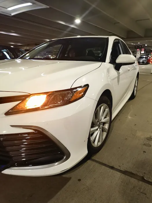 Budget Car Rental Picture 1