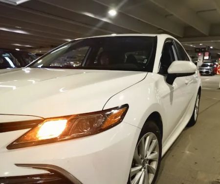 Budget Car Rental