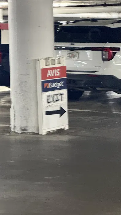 Avis Car Rental Picture 8