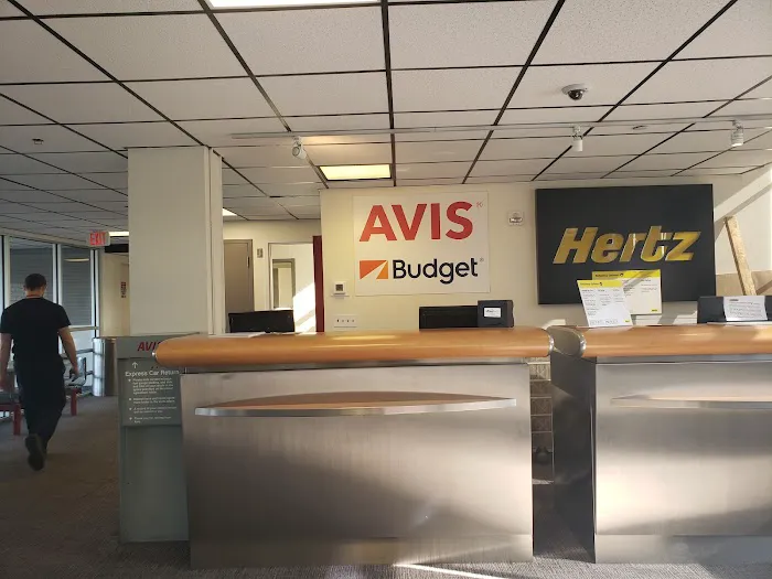 Avis Car Rental Picture 1