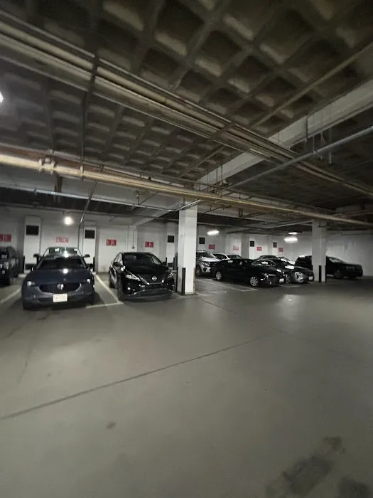 Budget Car Rental Picture 3
