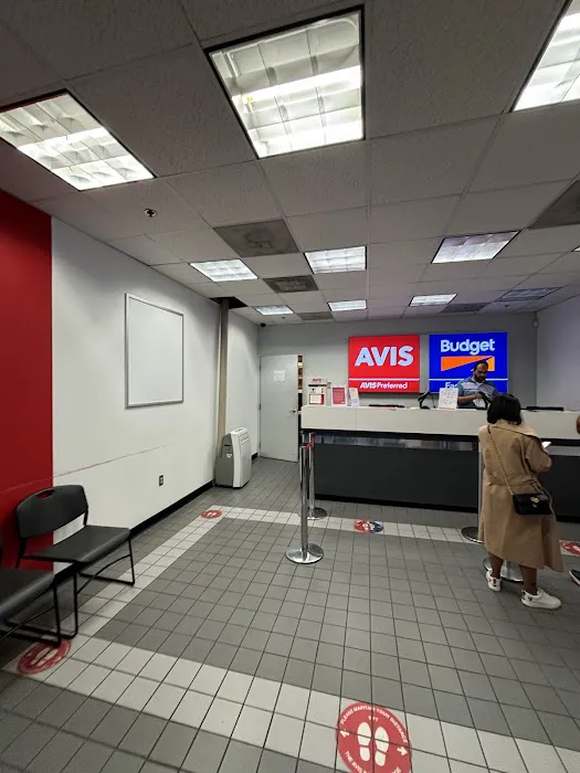 Budget Car Rental Picture 2