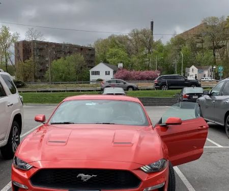 Budget Car Rental