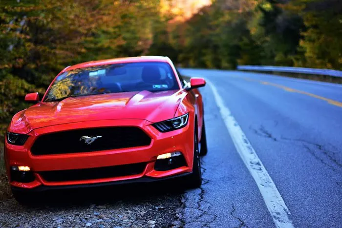Budget Car Rental Picture 2