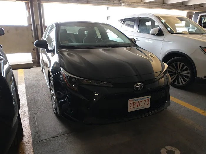 Avis Car Rental Picture 2