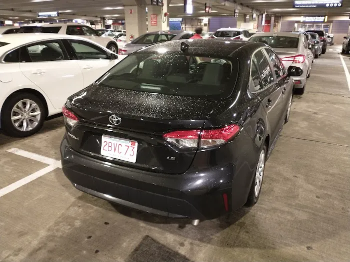 Avis Car Rental Picture 7