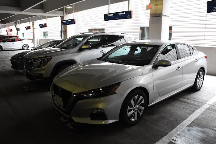 Budget Car Rental Picture 3