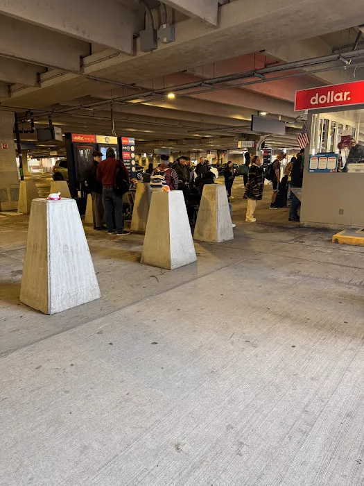 Thrifty Car Rental - Boston Logan International Airport Picture 9