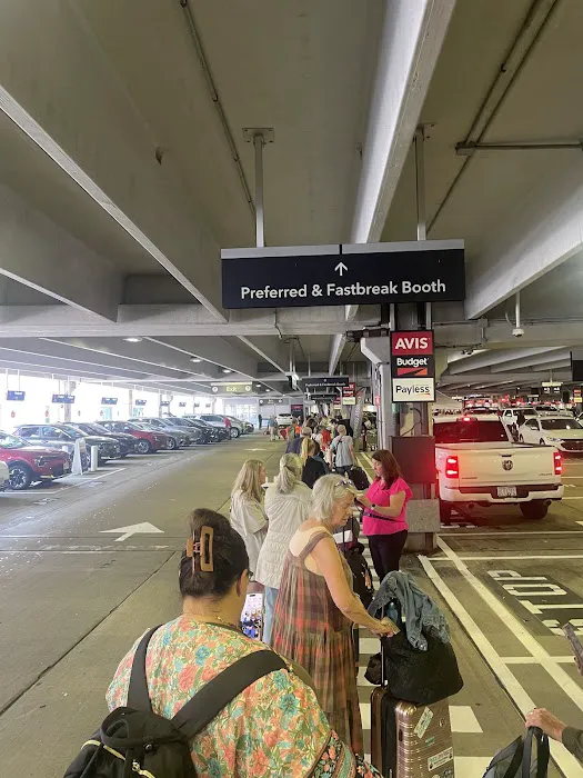 Payless Car Rental Picture 6