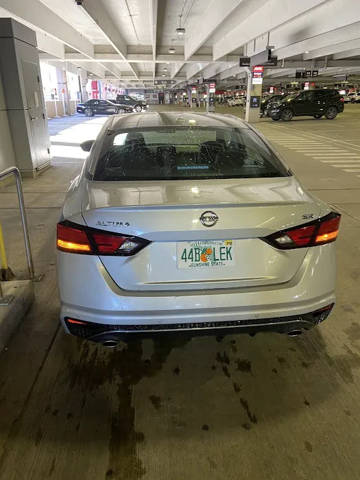 Payless Car Rental Picture 8