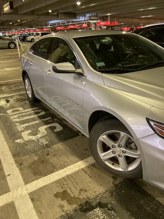 Avis Car Rental Picture 8
