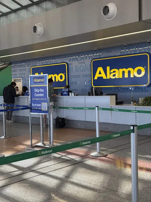 Alamo Rent A Car Picture 7