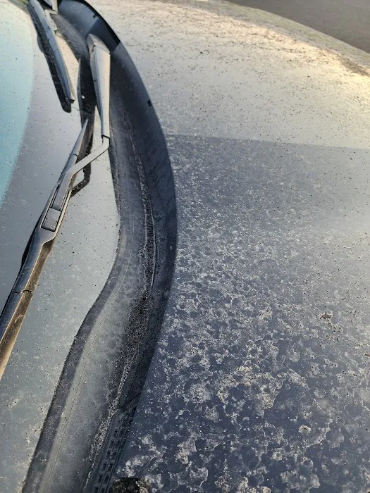 Avis Car Rental Picture 1