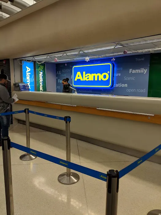 Alamo Rent A Car Picture 5