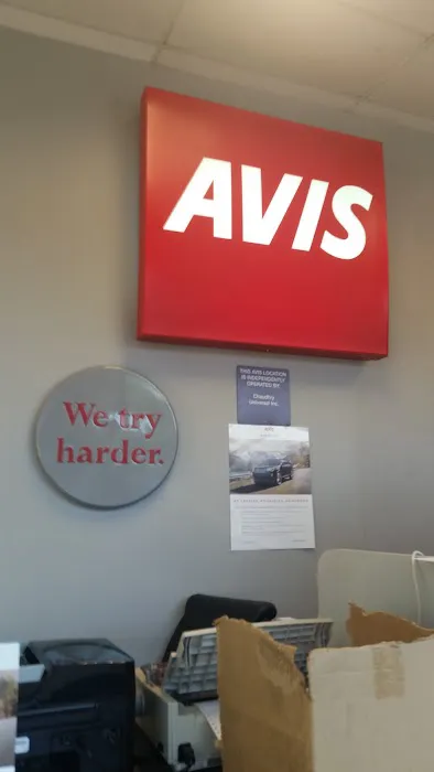Avis Car Rental Picture 5