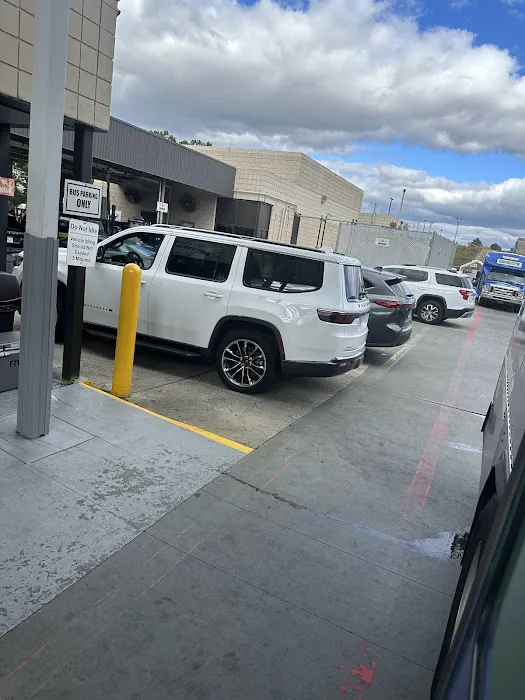 Alamo Rent A Car Picture 2