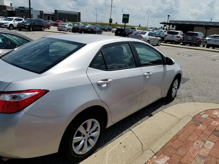Alamo Rent A Car Picture 8