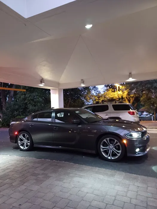 Budget Car Rental Picture 1