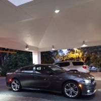 Budget Car Rental ico