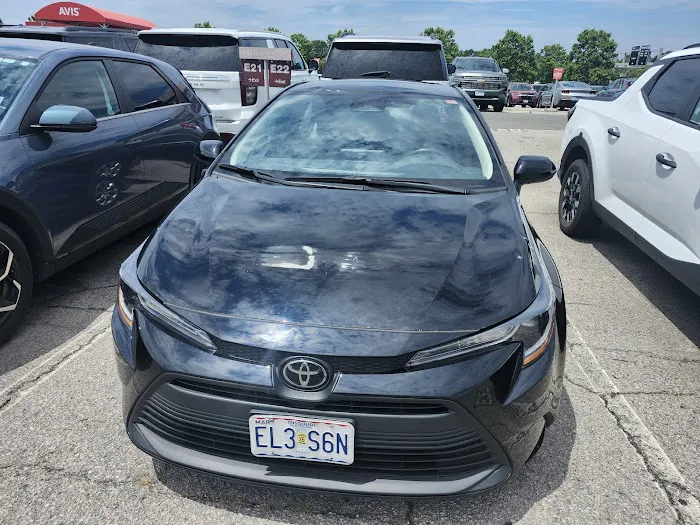 Budget Car Rental Picture 8