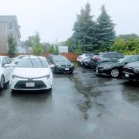North Shore Car Rental ico