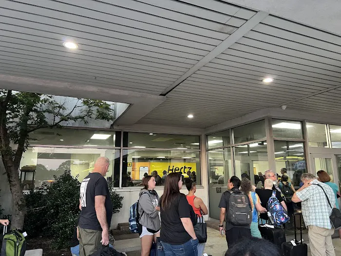 Dollar Car Rental - Raleigh Durham International Airport Picture 6