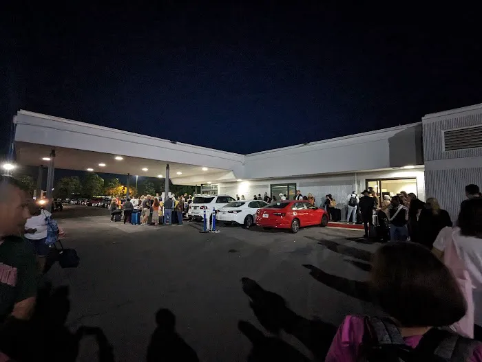 Avis Car Rental Picture 6