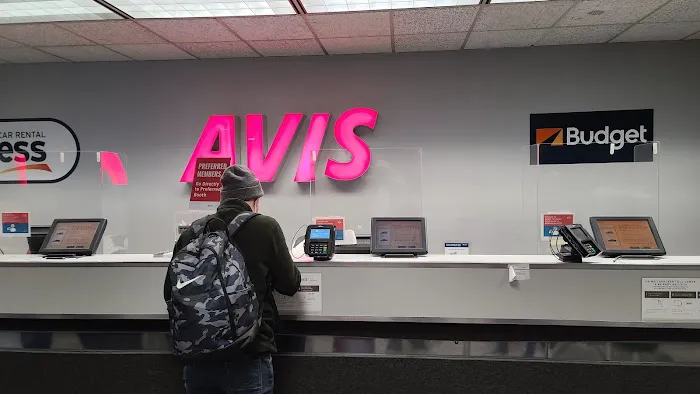 Avis Car Rental Picture 8