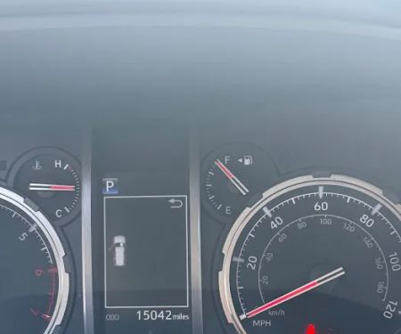 Avis Car Rental