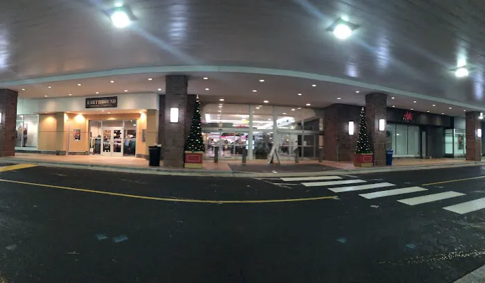 Avis Car Rental Picture 1