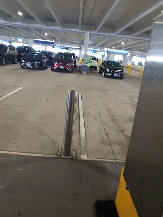 Alamo Rent A Car Picture 4