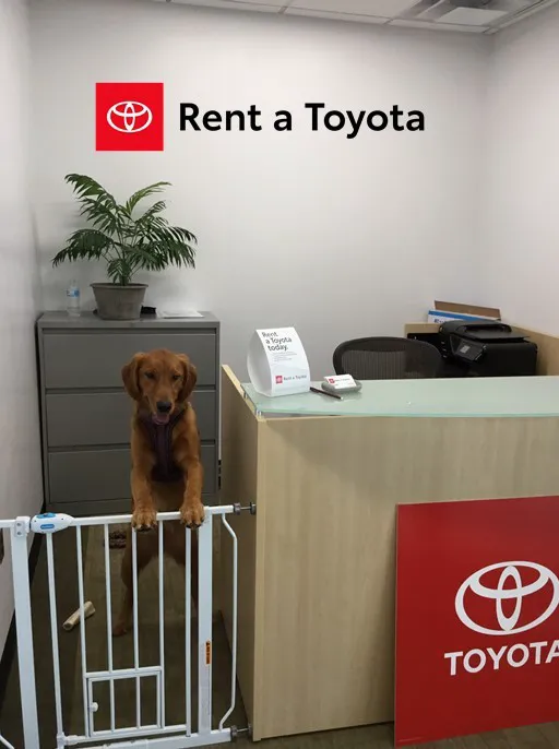 Rent A Toyota at McGovern Toyota of Portsmouth Picture 2