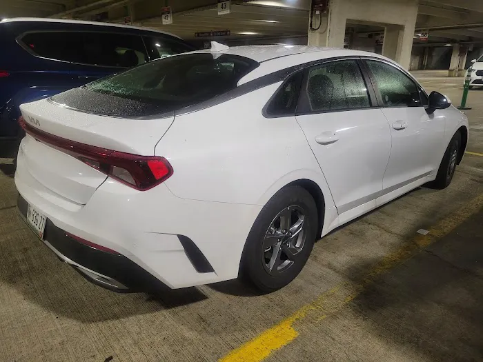 Avis Car Rental Picture 3
