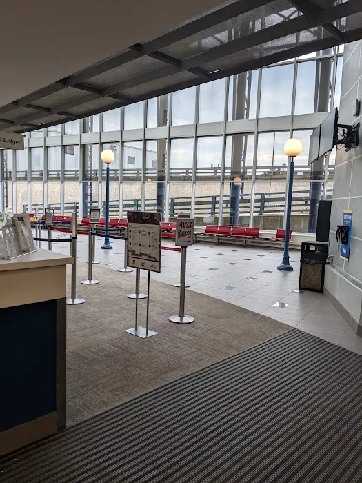 Avis Car Rental Picture 6