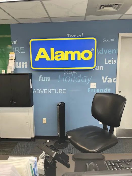 Alamo Rent A Car Picture 4